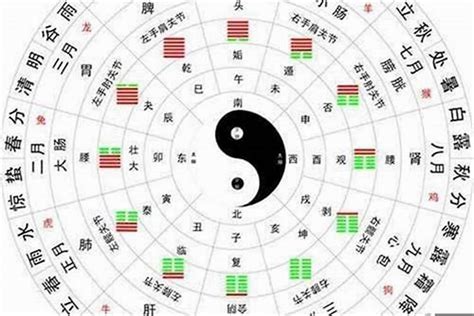 金命人性格|八字五行属金的金命人的特点